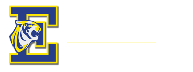 Elwood Community Consolidated School District 203